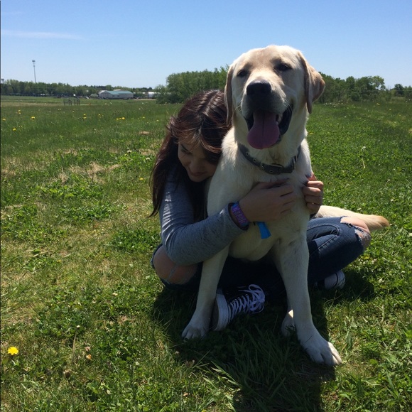 Meet your Posher, Izzy - Picture 5 of 8